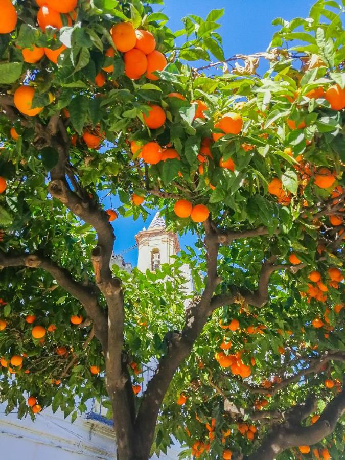 Escape To Estepona Ngoại thất bức ảnh